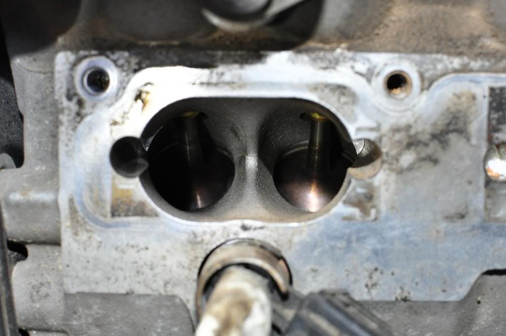 Cleaned intake valves